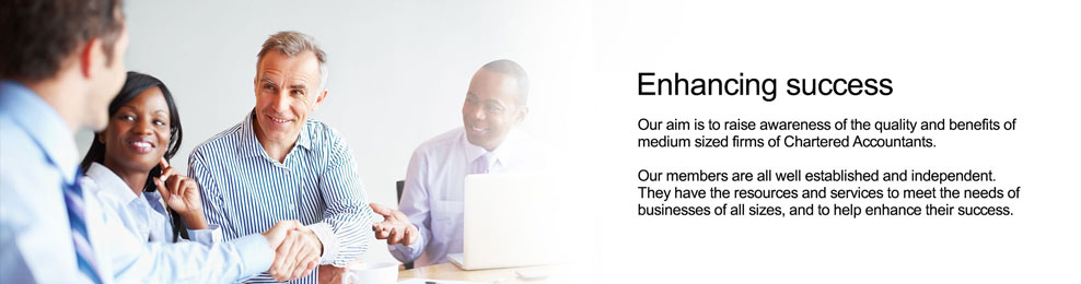 The Association of Practicing Accountants